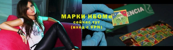 индика Нягань