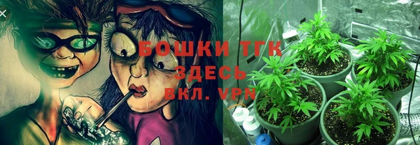 мескалин Арсеньев