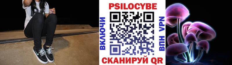 Галлюциногенные грибы Psilocybine cubensis  наркотики  Полярный 